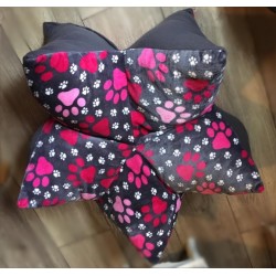 Wohlfühlstern Pfötchen...