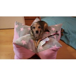 Wohlfühlstern hellgrau -...