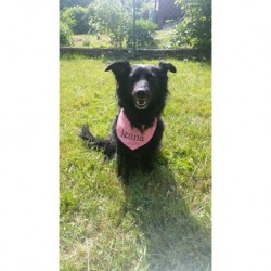 Halstücher MIT Schriftzug