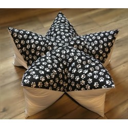 Wohlfühlstern Pfötchen...